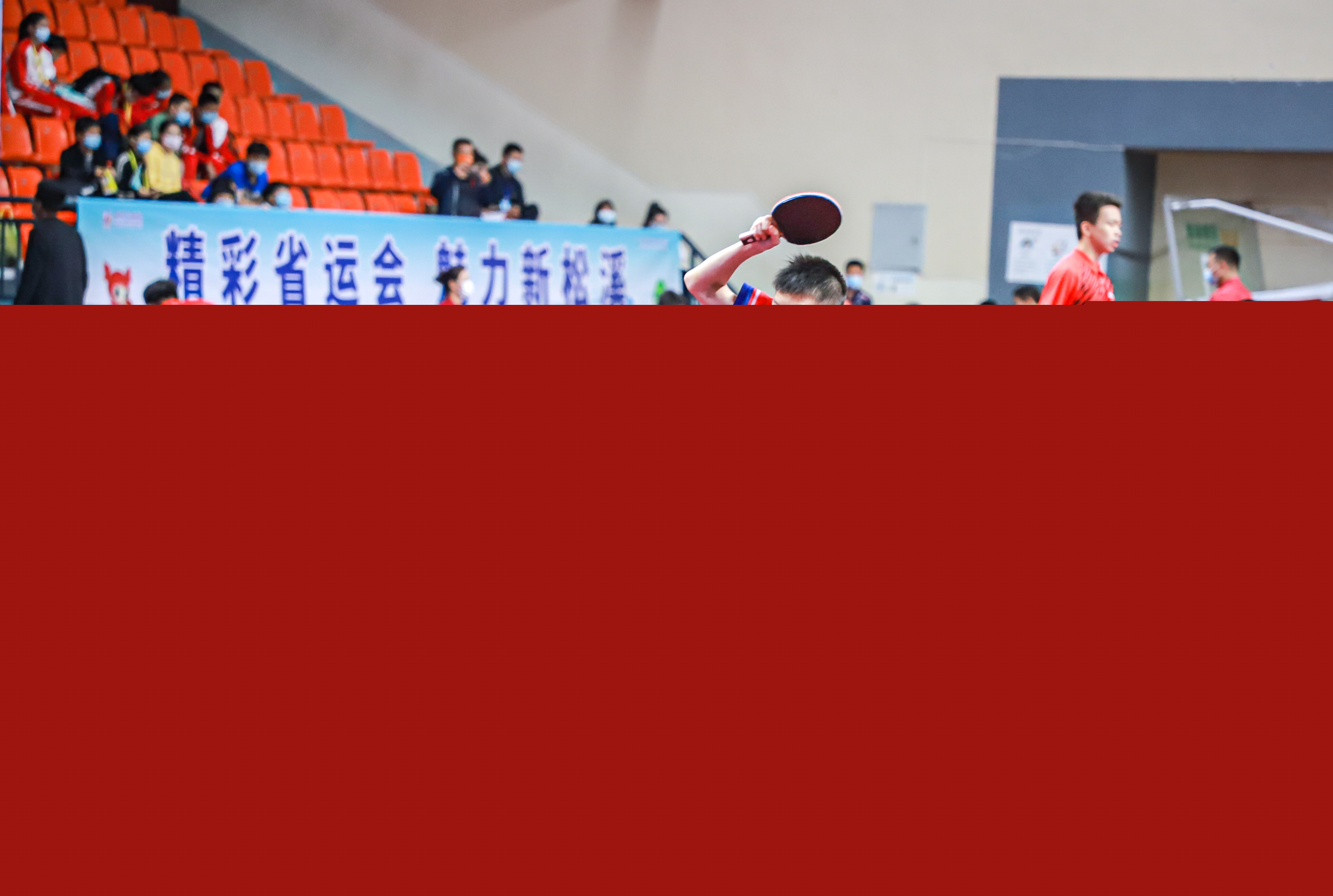 我们看到的 我们看到的